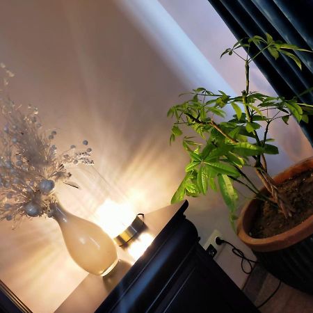 Hotel Casa Maria Roses Râșnov Zewnętrze zdjęcie