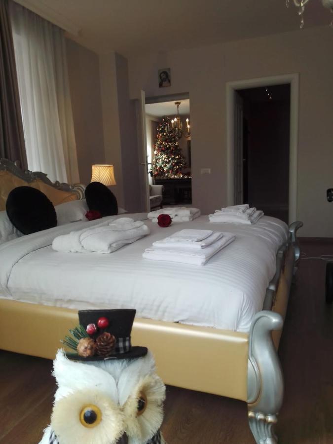 Hotel Casa Maria Roses Râșnov Zewnętrze zdjęcie