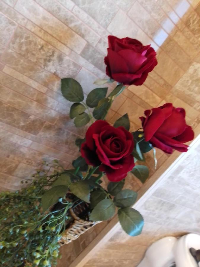 Hotel Casa Maria Roses Râșnov Zewnętrze zdjęcie
