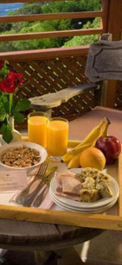 Hotel Casa Maria Roses Râșnov Zewnętrze zdjęcie