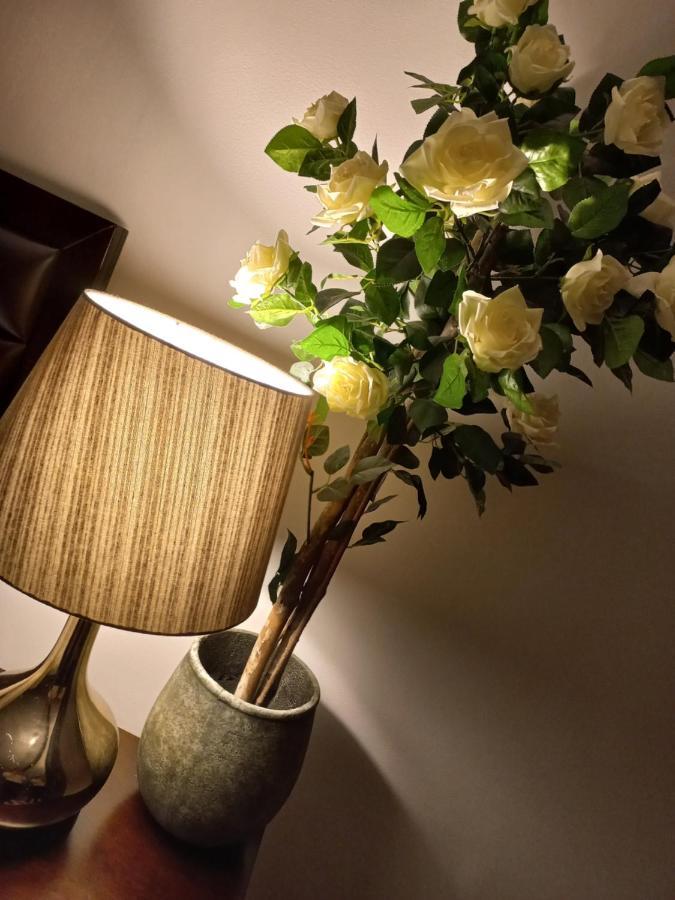 Hotel Casa Maria Roses Râșnov Zewnętrze zdjęcie