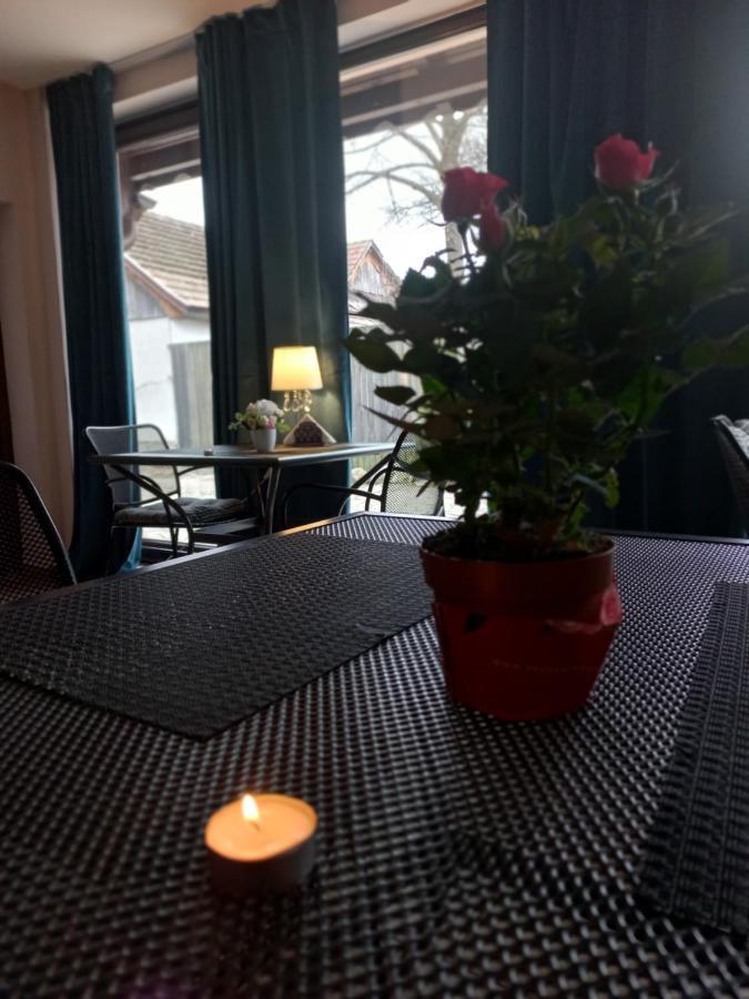 Hotel Casa Maria Roses Râșnov Zewnętrze zdjęcie