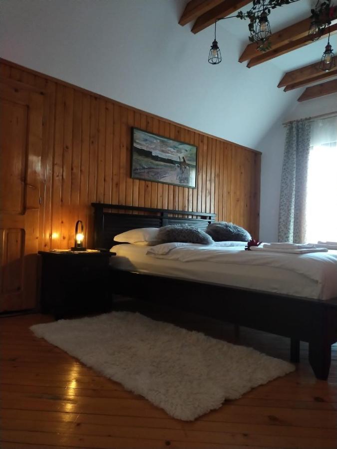 Hotel Casa Maria Roses Râșnov Zewnętrze zdjęcie
